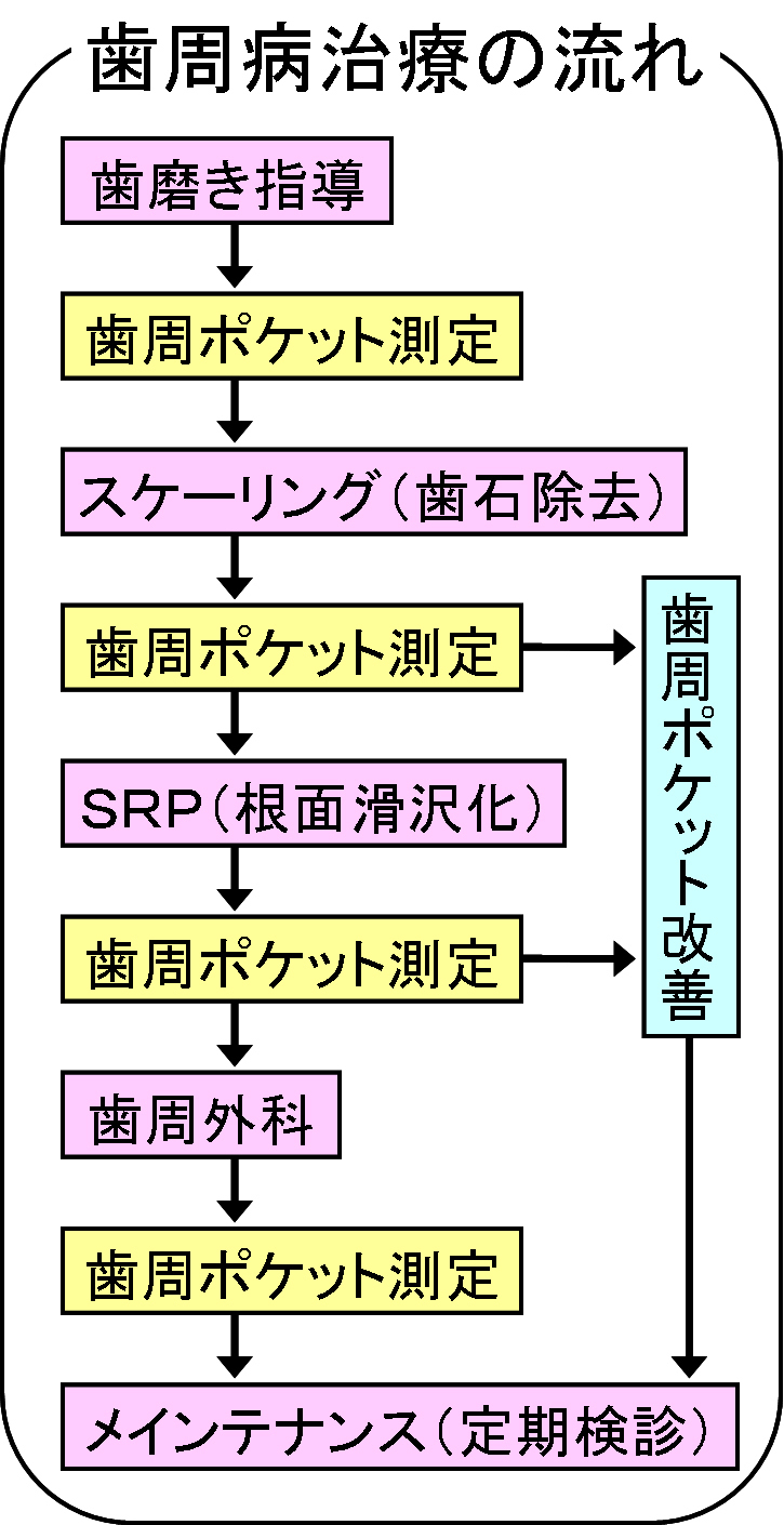 歯周病治療の流れ.jpg