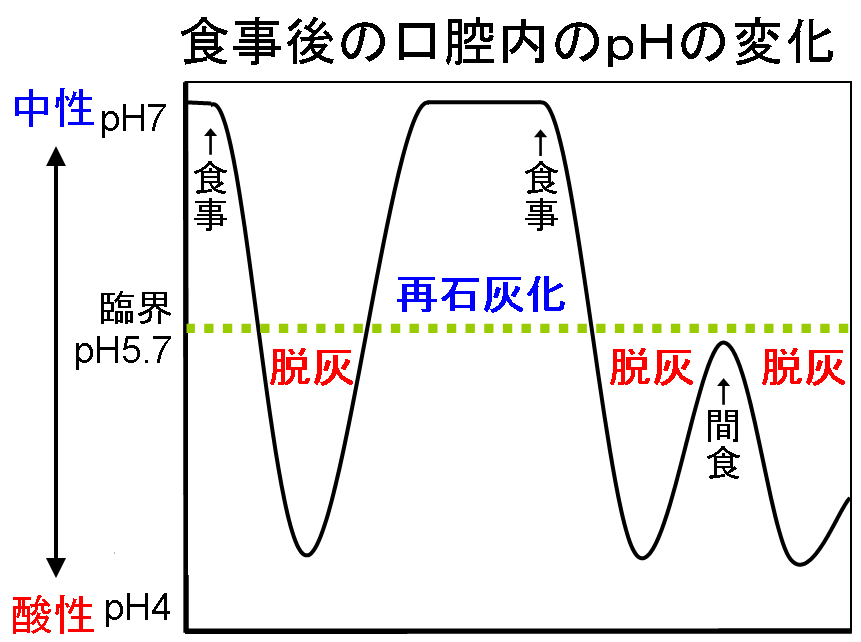 食事後のpH変化.jpg